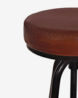 Valoréa Jewel Leather Bar Chair