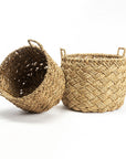 Marga Oasis Basket