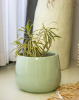 Duran Dora Outdoor Planter - Living Shapes