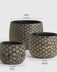 Earthvest Terracotta Pot - Set of 3