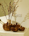 Cinderella Pumpkin Wood set of 4 - Living Shapes