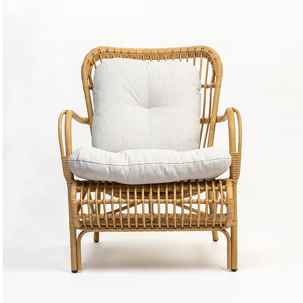 Alu Rattan Wizards Choice Sofa Chair with Synthetic Wicker