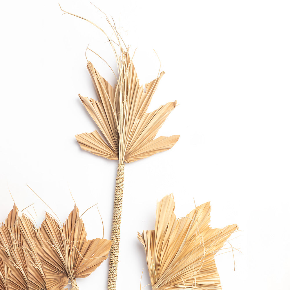 Elara Decorative leaf