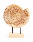 Fossil Tide Teakwood Sculpture