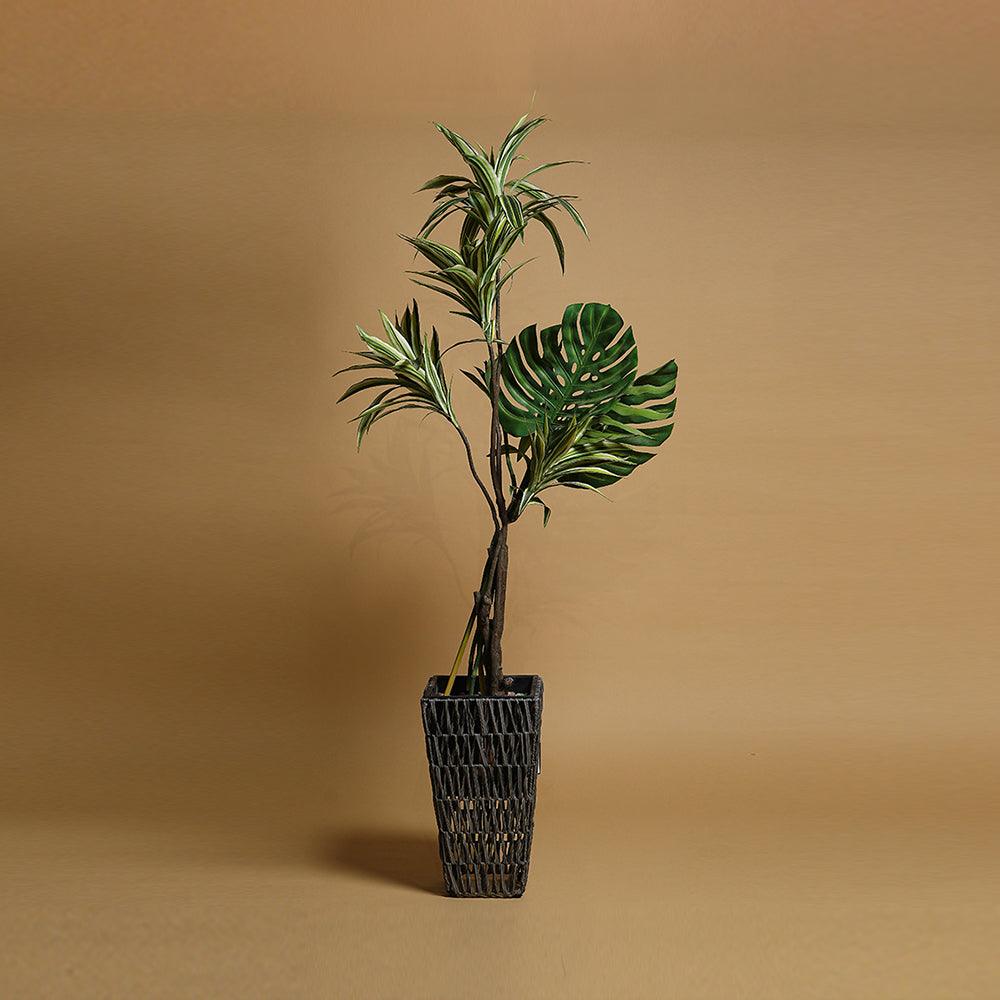 Cedar Haven Planter - Living Shapes