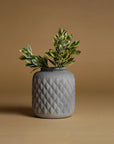 Oak Opulence Ceramic Vase - Living Shapes