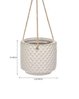 Bloom Beauty Ceramic Hanging Pot