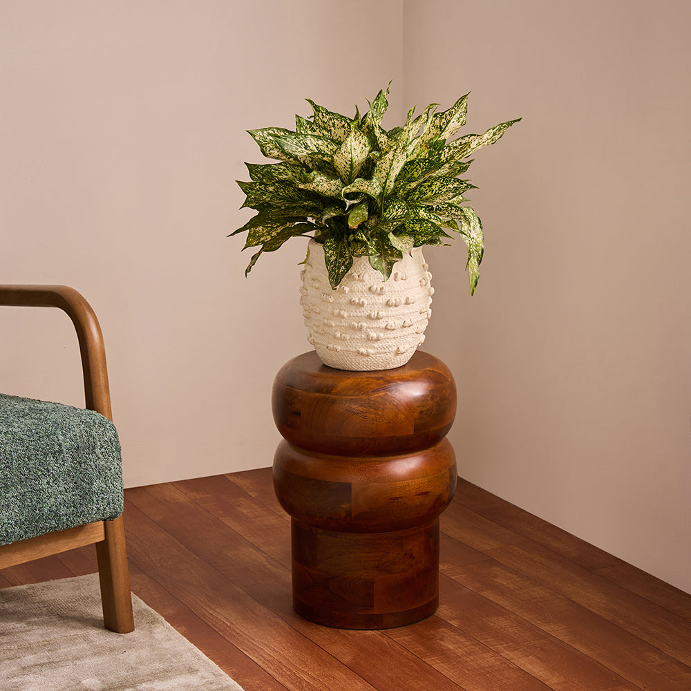 Shop Oakspire Mango Wood Accent Table & Stool Online