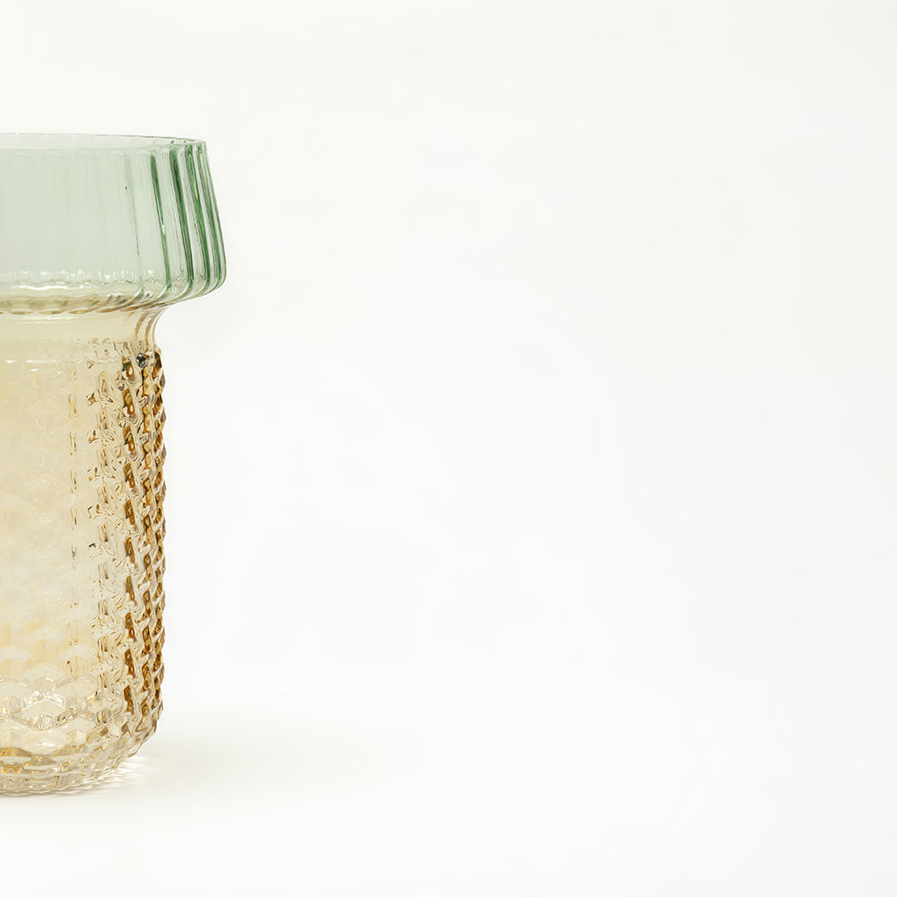 Selvana Pro Glass Vase Set of 2