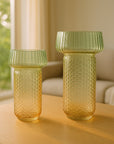 Selvana Pro Glass Vase Set of 2