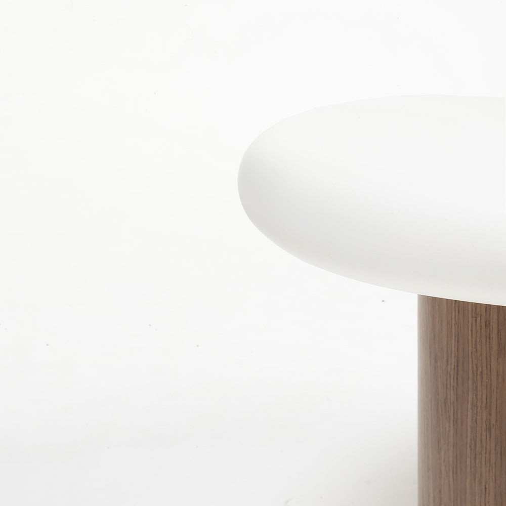 Terravon White Coffee Table with Wooden Base Set of 2