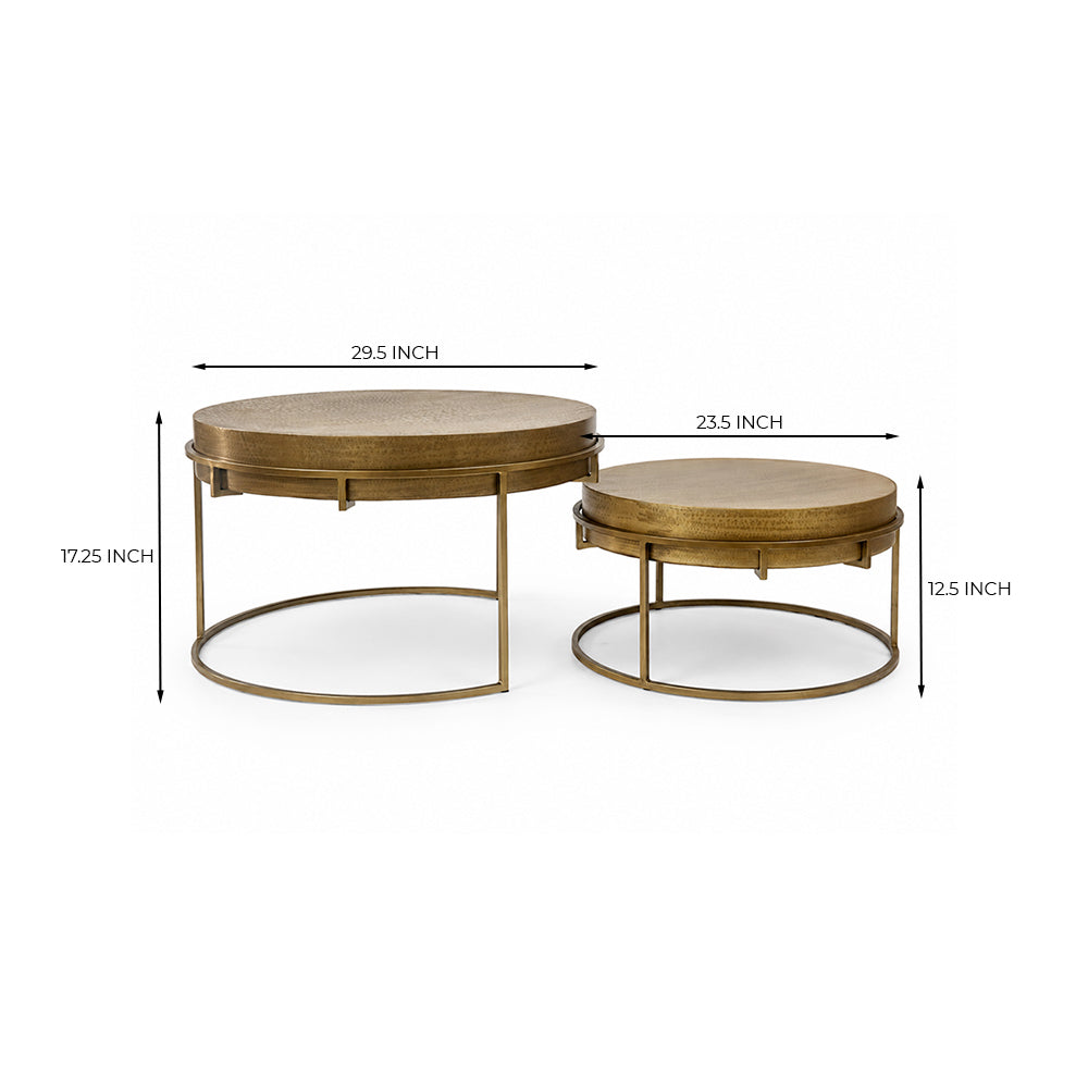 Tinashe Aluminum Coffee Table Set of 2