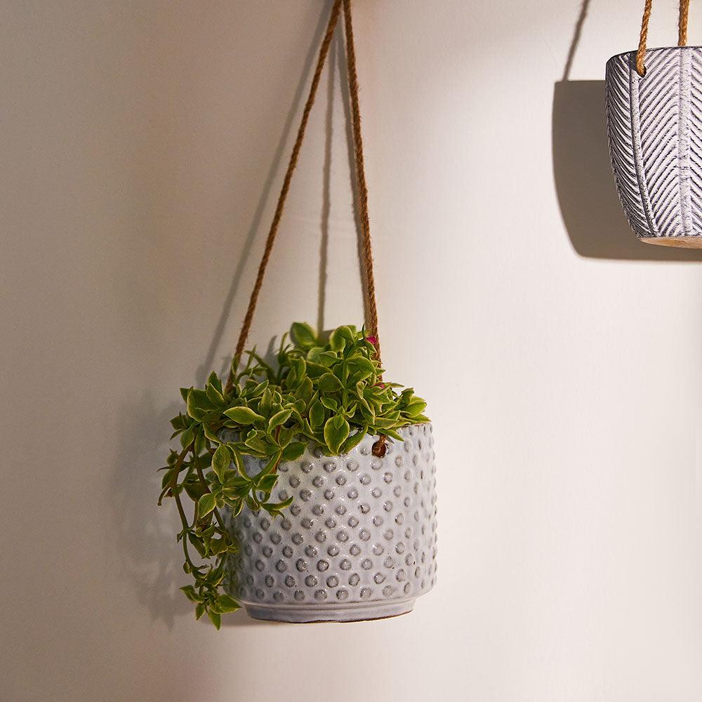 Bloom Beauty Ceramic Hanging Pot - Living Shapes
