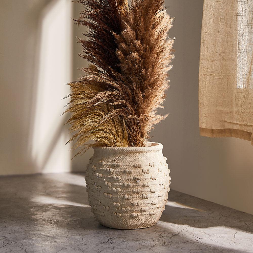 Quince Quirk Cement Pot - Living Shapes