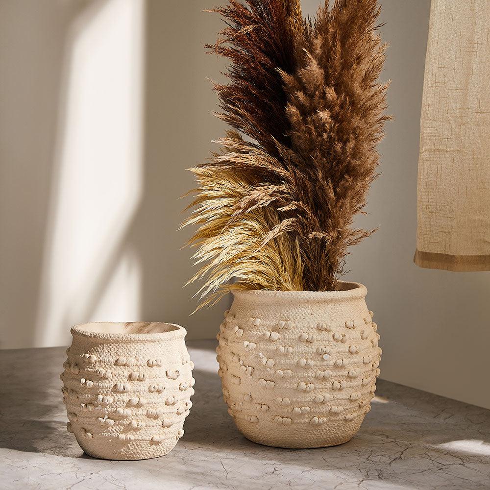 Quince Quirk Cement Pot - Living Shapes