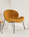 Birch Breeze Lounge Chair - Living Shapes