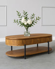 Wodden Syleen Coffee Table with Metal