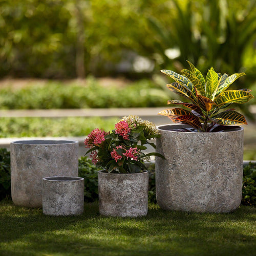 Unique Garden Decor Ideas to Personalize Your Outdoor Space