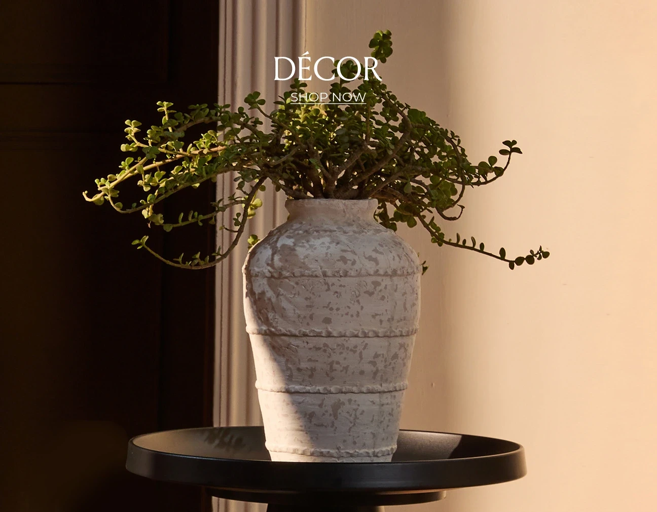 Collection Image