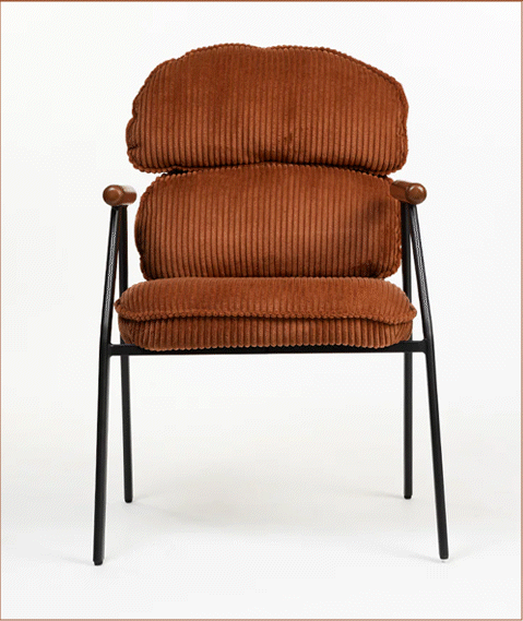 Collection Image