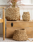 Victoria Studio Basket set of 3 - Living Shapes