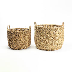 Marga Oasis Basket