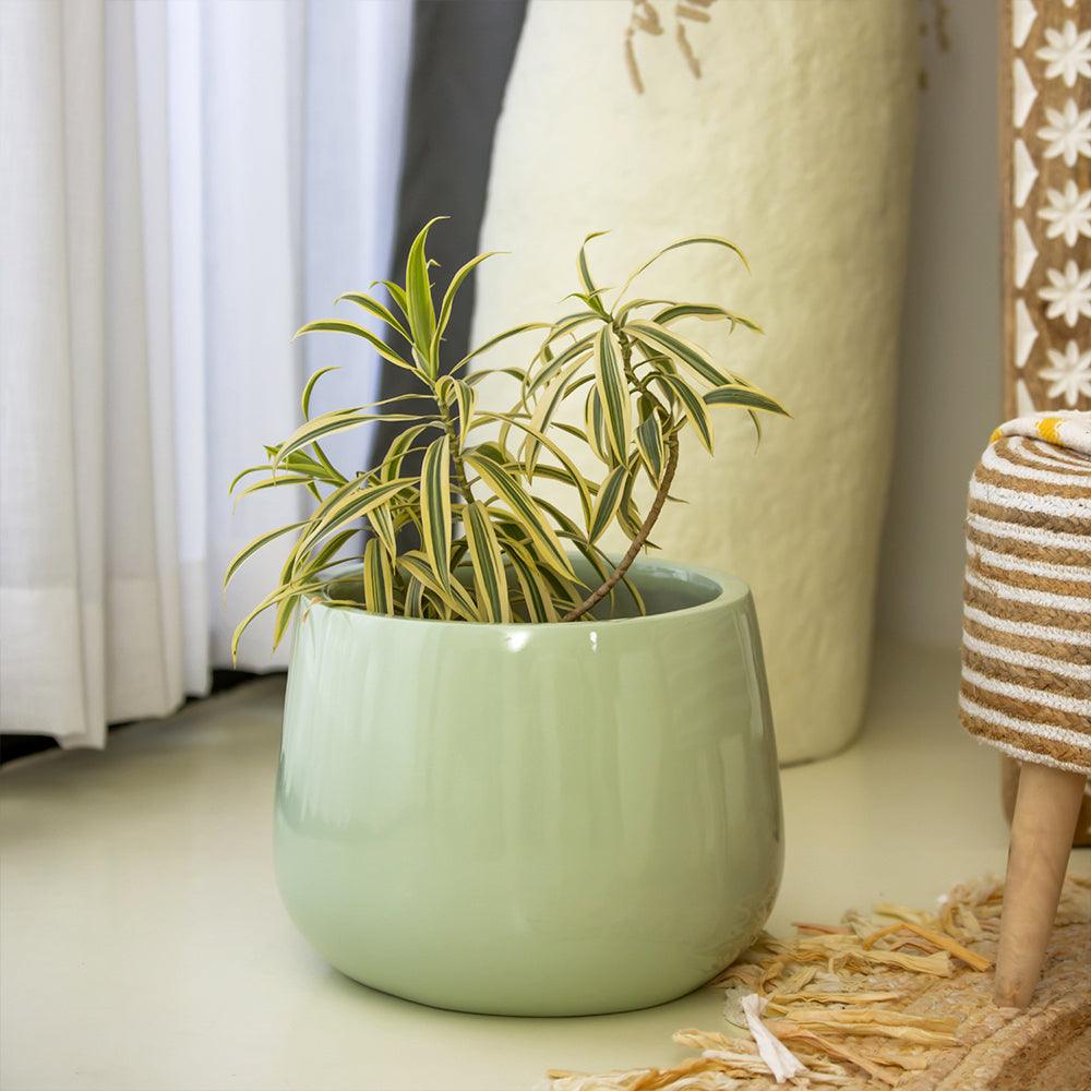 Duran Dora Outdoor Planter - Living Shapes