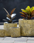 Murabi Pot set of 4 - Living Shapes