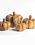 Cinderella Pumpkin Wood set of 4