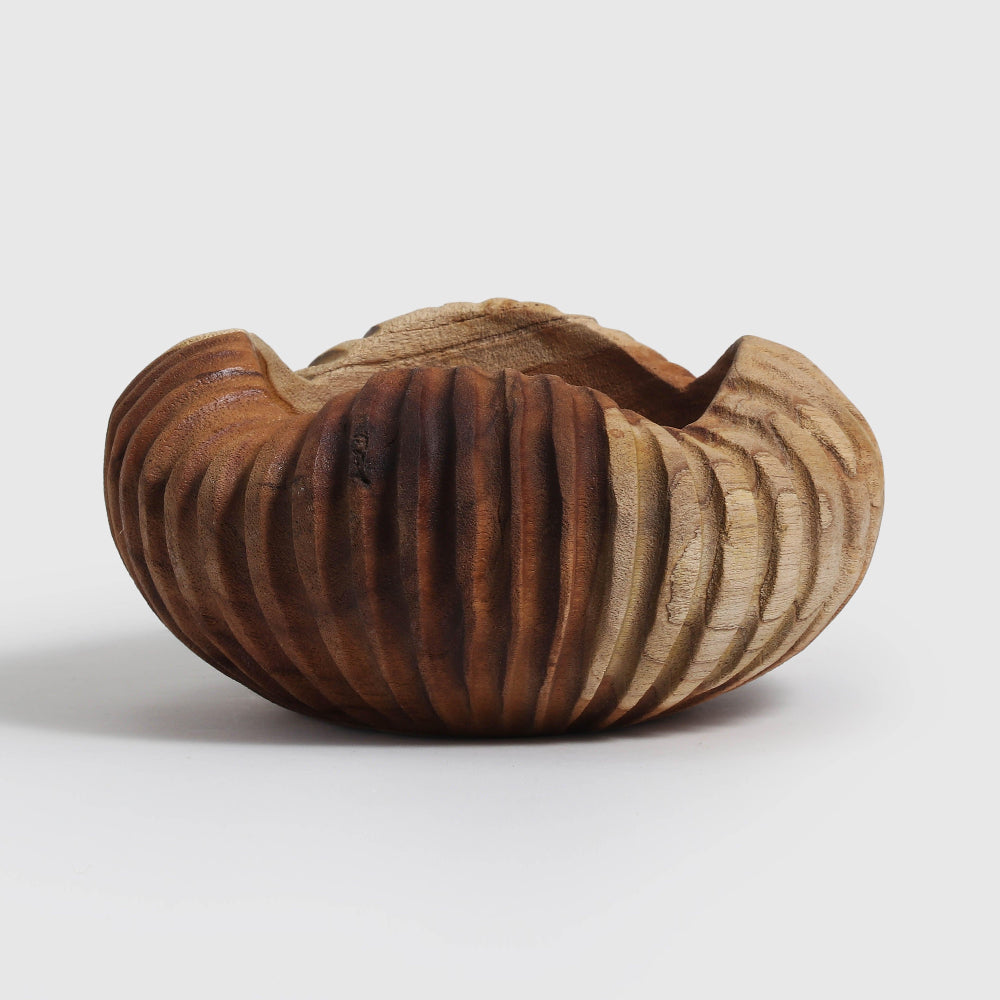 Nutshy Bowl - Living Shapes