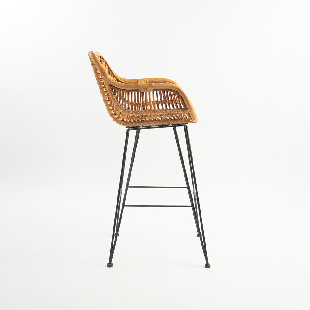 Tender Throne Bar Outdoor Chair