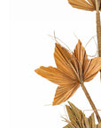 Elara Wall Decorative Leaf (7869609738430)