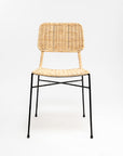 Dosly Rattan Pulut Iron Chair