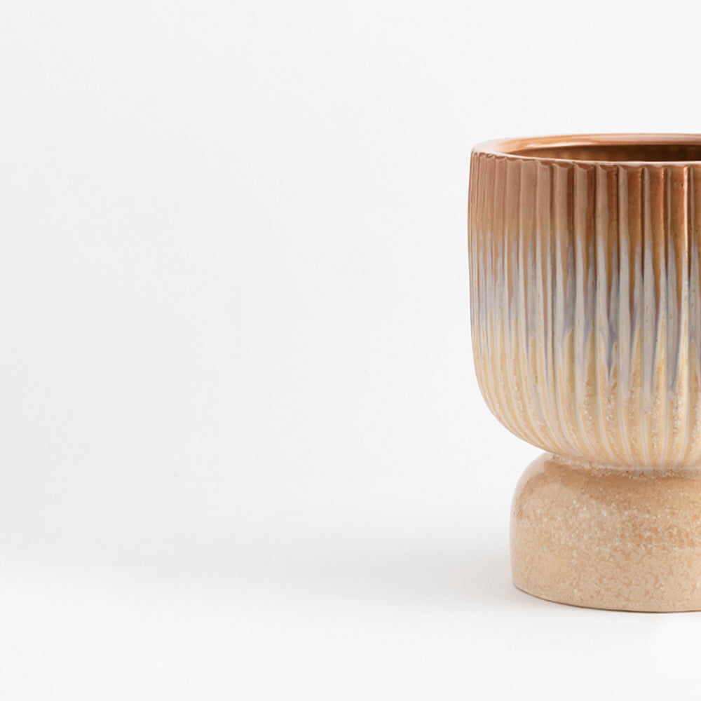 Birch Haven & Cedar Glen Ceramic Pot - Big