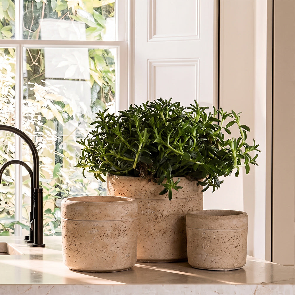 Sharona Cement Pot - All