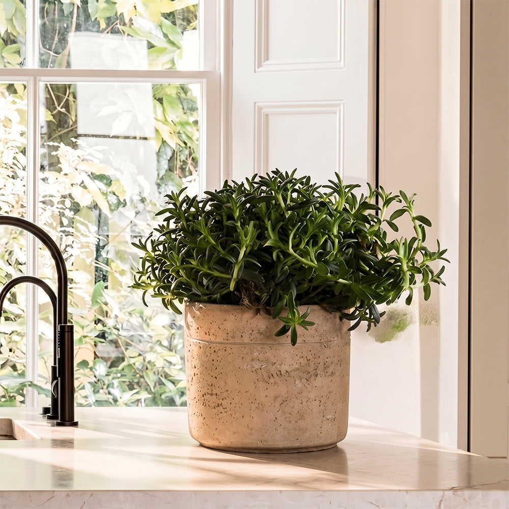 Sharona Beige Cement Large Planter Pot