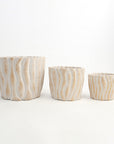 Taylor Terracotta Pot