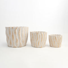 Taylor Terracotta Pot