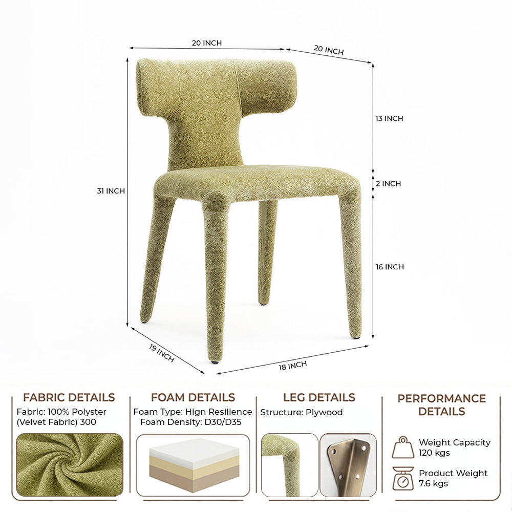 Driftwood Dining Chair - Green
