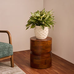 Prairie Mango Wood Accent Table & Stool