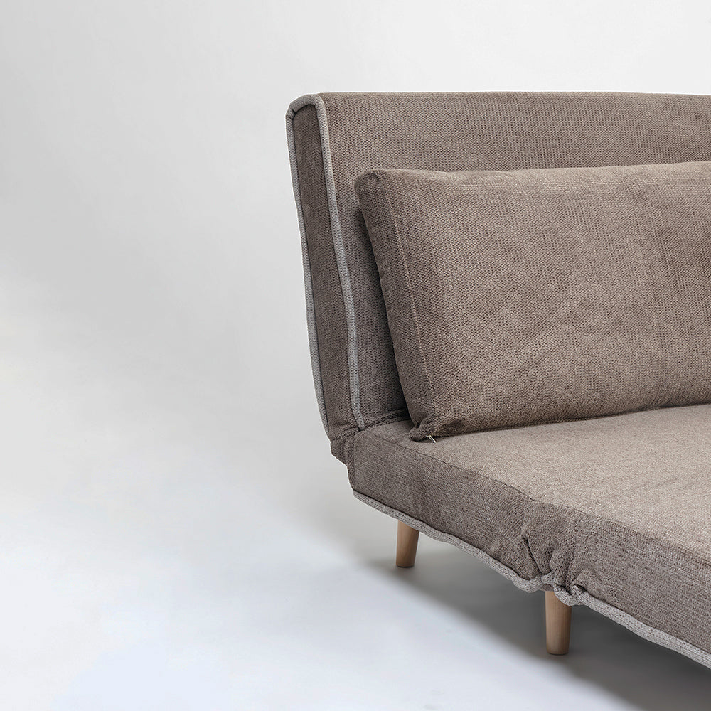 Riencar Foldable Sofa Cum Bed With Wooden Legs