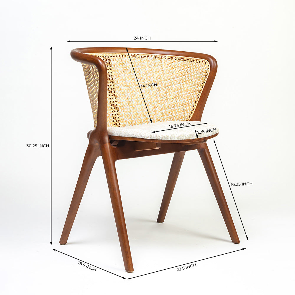 Holland Plywood Dining Chair
