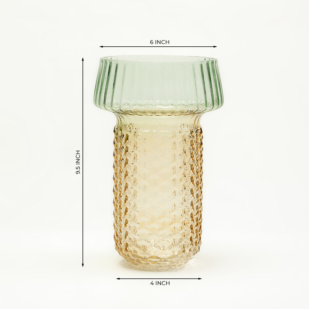 Selvana Pro Glass Vase Set of 2