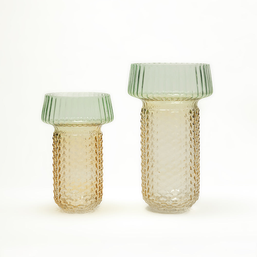 Selvana Pro Glass Vase Set of 2 - All