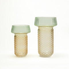 Selvana Pro Glass Vase Set of 2