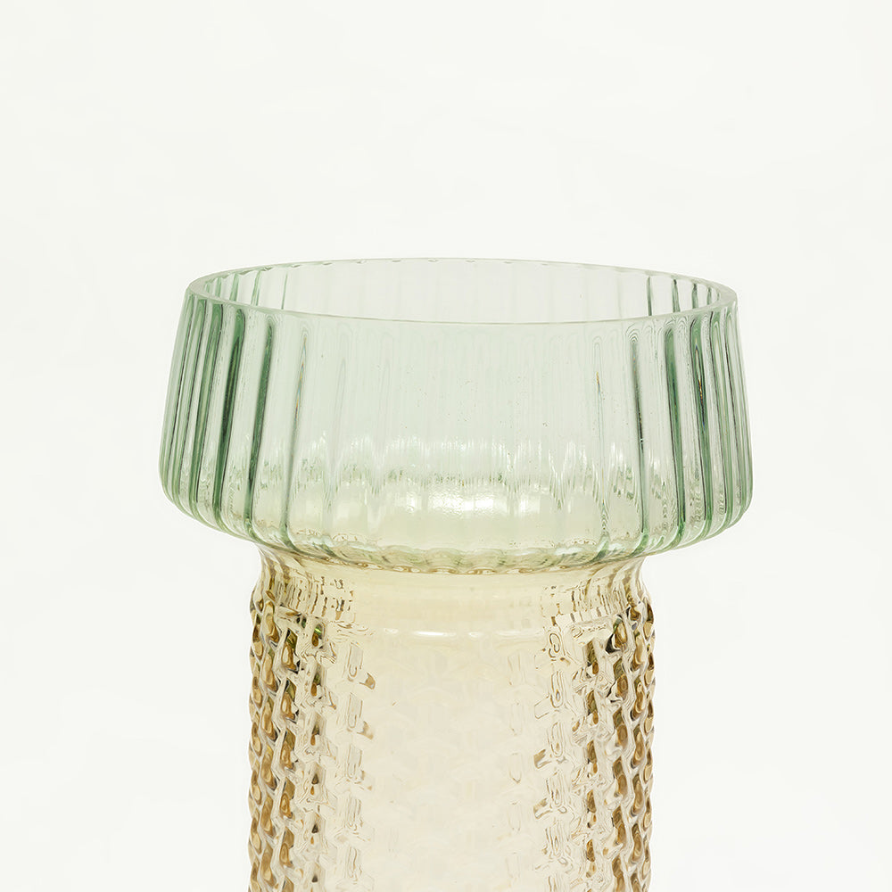 Selvana Pro Glass Vase Set of 2 - Large