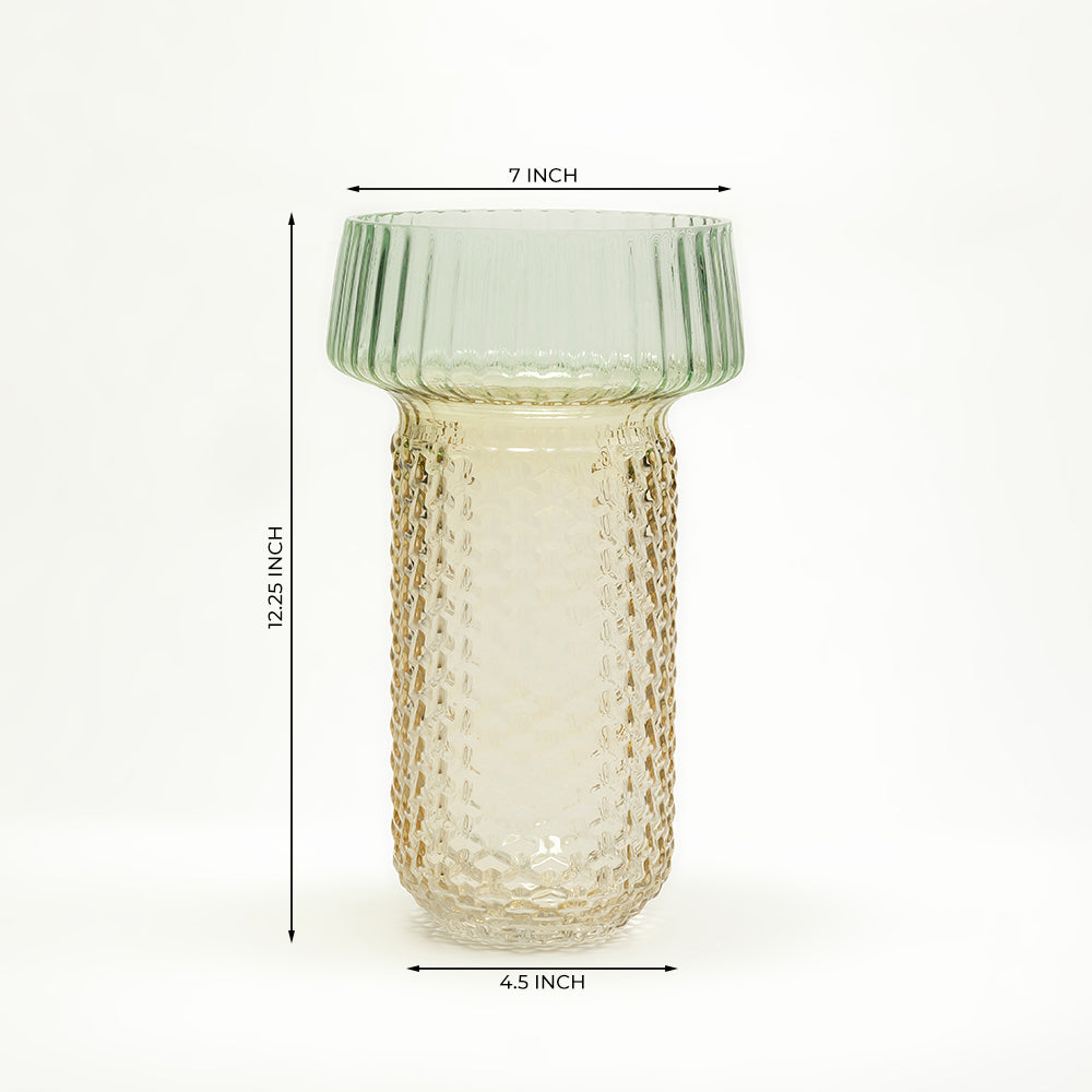 Selvana Pro Glass Vase Set of 2 - Large