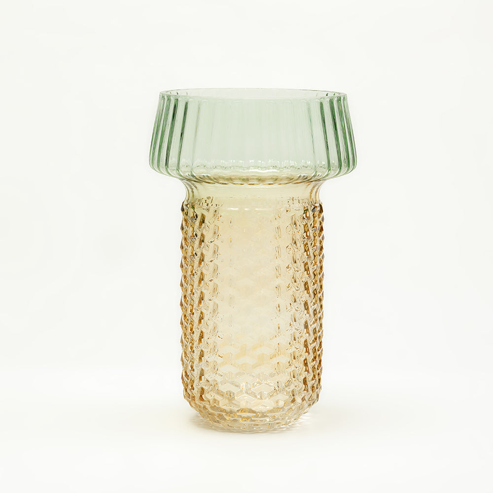 Selvana Pro Glass Vase Set of 2 - Small