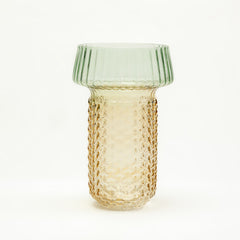 Selvana Pro Glass Vase Set of 2 - Small