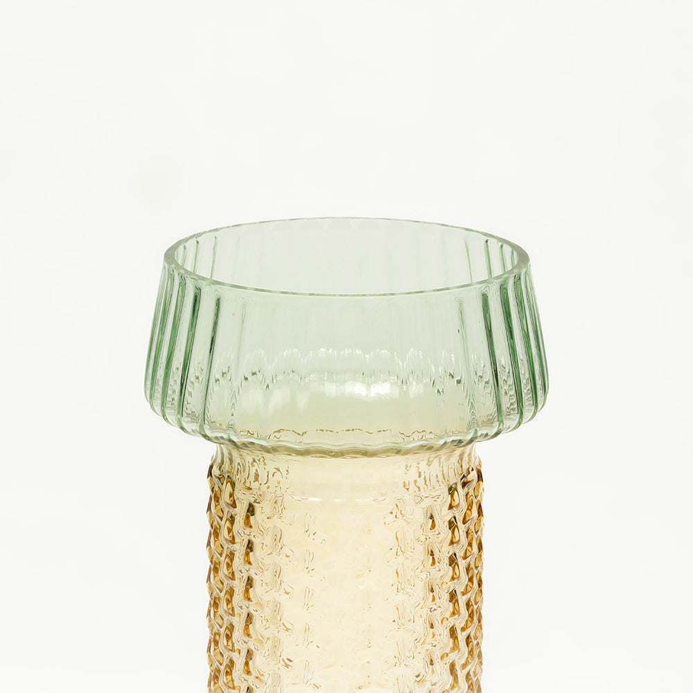 Selvana Pro Glass Vase Set of 2 - Small